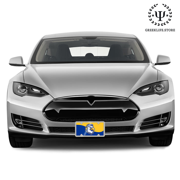 Embry-Riddle Aeronautical University Eagles Sport Decorative License Plate