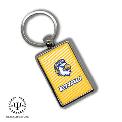 Embry-Riddle Aeronautical University Trailer Hitch Cover
