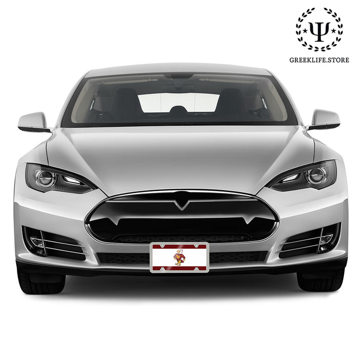 Winthrop University Decorative License Plate