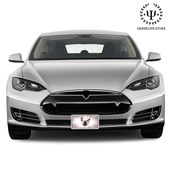 Mississippi State University Decorative License Plate
