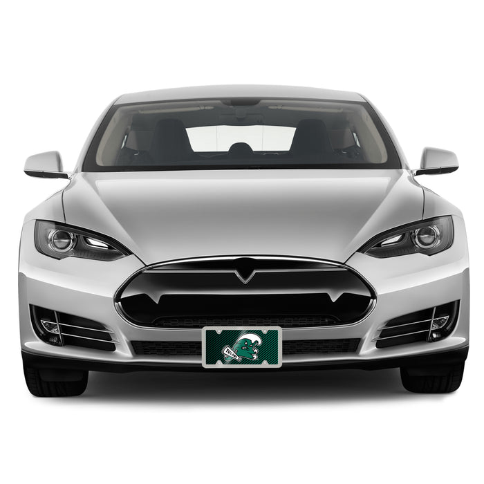 Tulane University Decorative License Plate