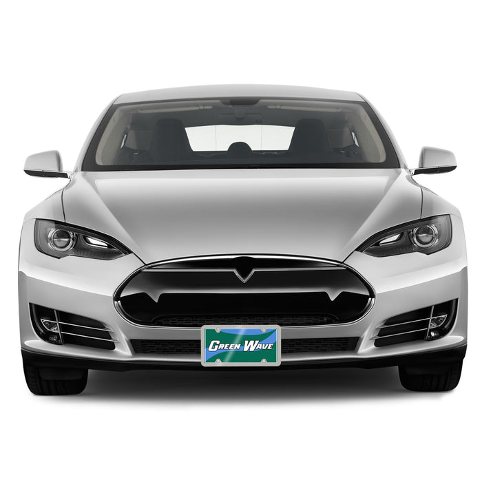 Tulane University Decorative License Plate