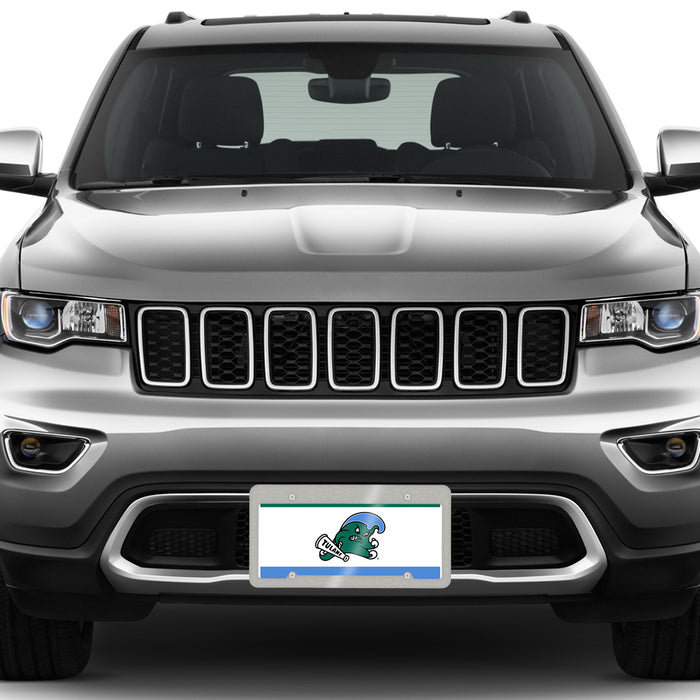 Tulane University Decorative License Plate
