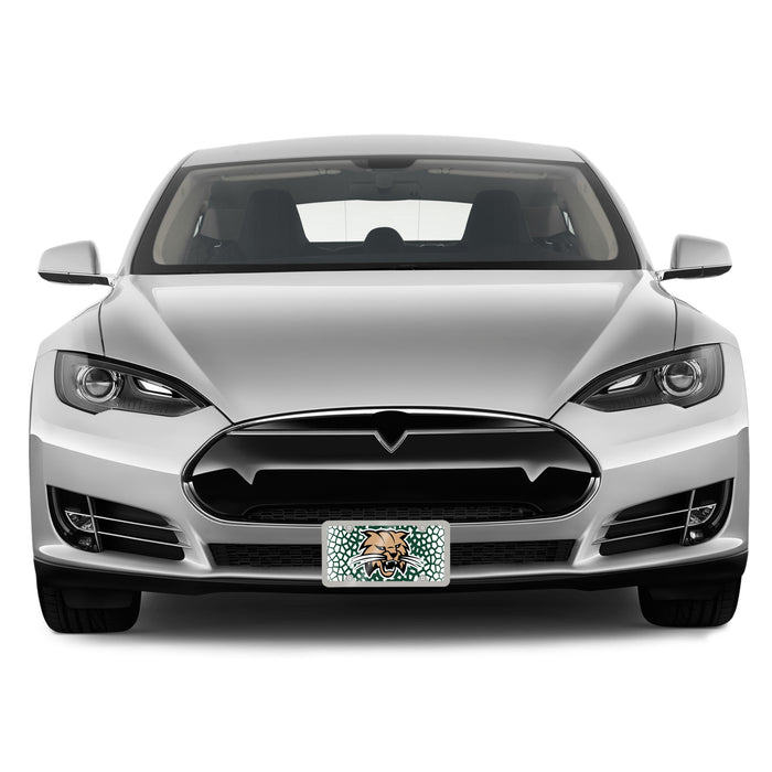 Ohio University Decorative License Plate