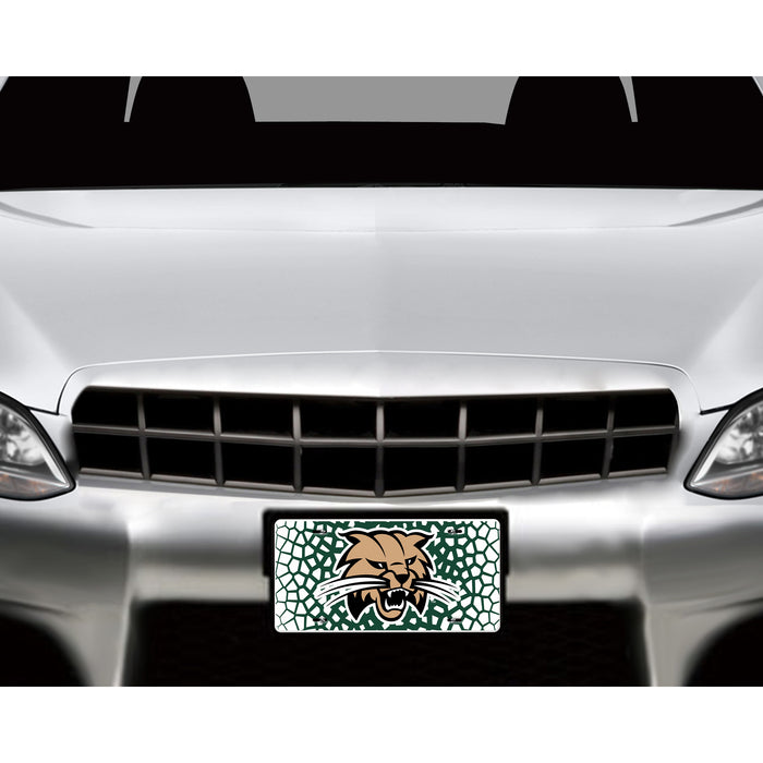 Ohio University Decorative License Plate