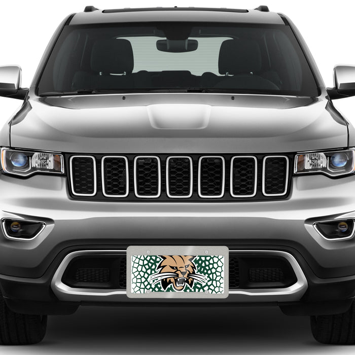 Ohio University Decorative License Plate