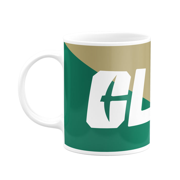University of North Carolina at Charlotte Coffee Mug 11 OZ