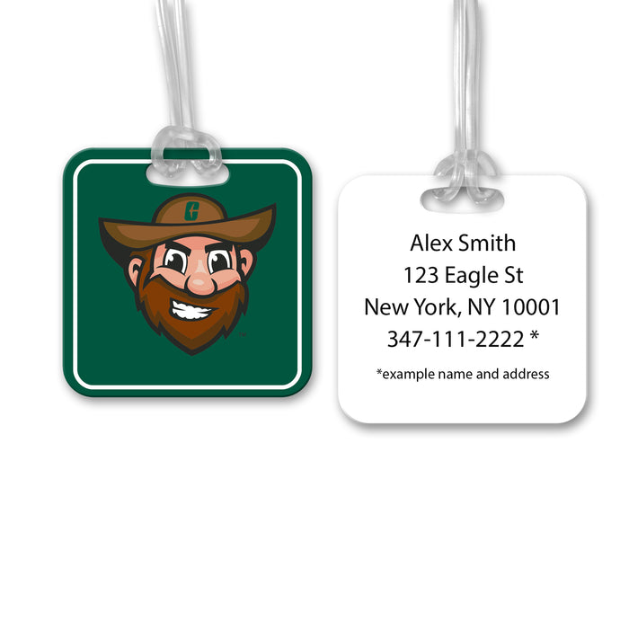 University of North Carolina at Charlotte Luggage Bag Tag (square)