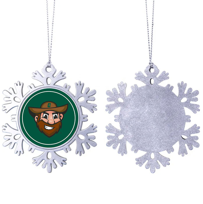 University of North Carolina at Charlotte Christmas Ornament - Snowflake Metal
