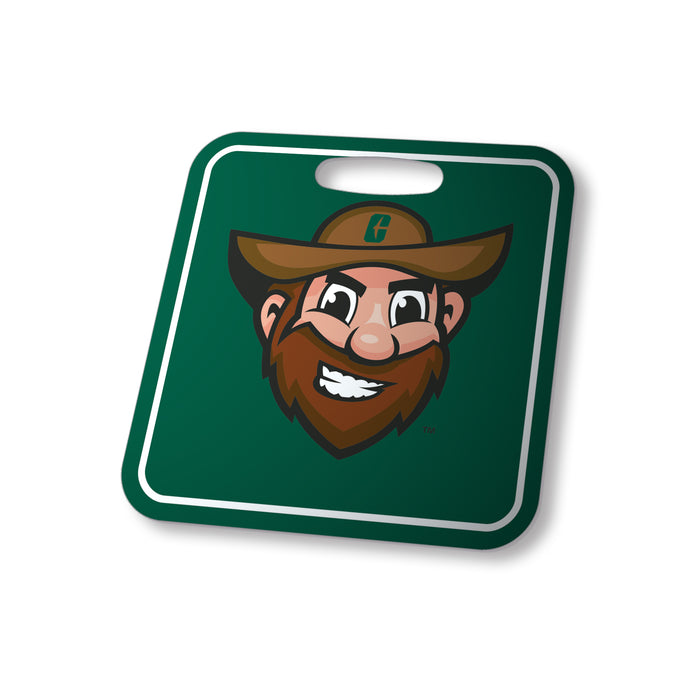 University of North Carolina at Charlotte Luggage Bag Tag (square)