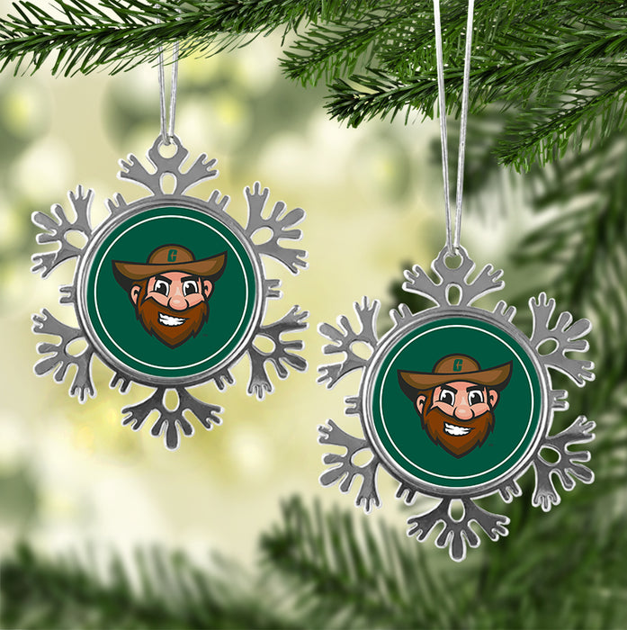 University of North Carolina at Charlotte Christmas Ornament - Snowflake Metal