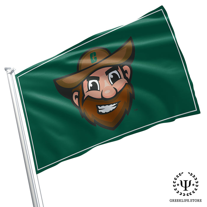University of North Carolina at Charlotte Flags and Banners