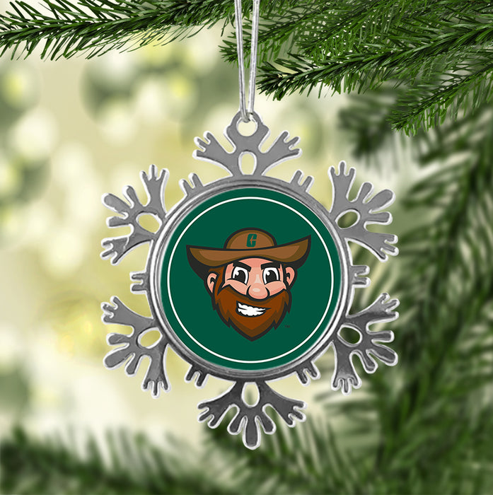 University of North Carolina at Charlotte Christmas Ornament - Snowflake Metal