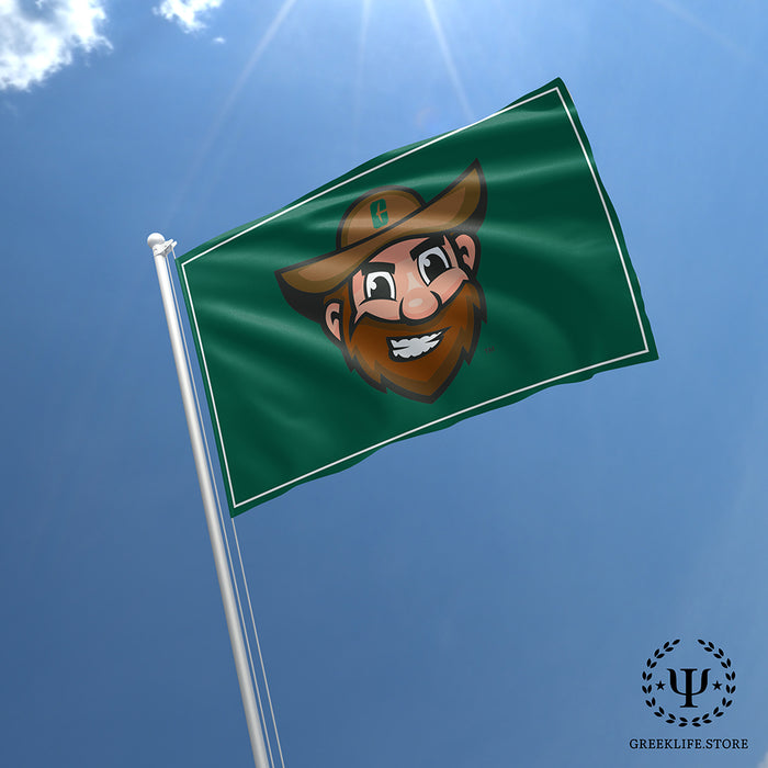 University of North Carolina at Charlotte Flags and Banners