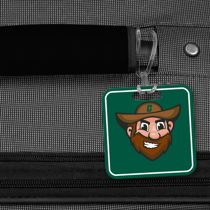 University of North Carolina at Charlotte Luggage Bag Tag (square)