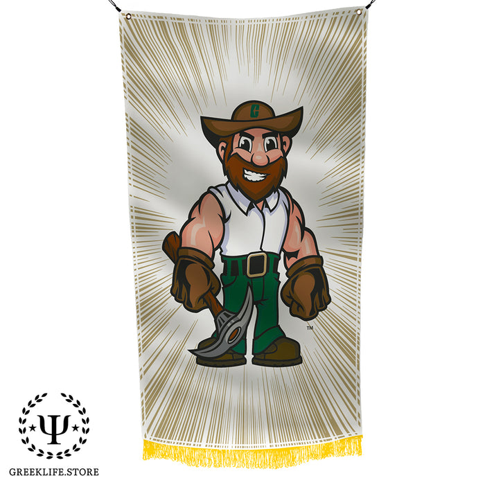 University of North Carolina at Charlotte Flags and Banners