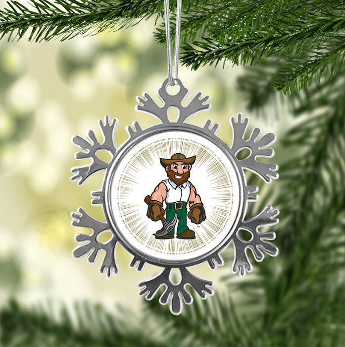 University of North Carolina at Charlotte Christmas Ornament - Snowflake Metal