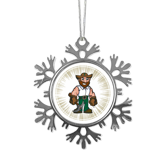 University of North Carolina at Charlotte Christmas Ornament - Snowflake Metal