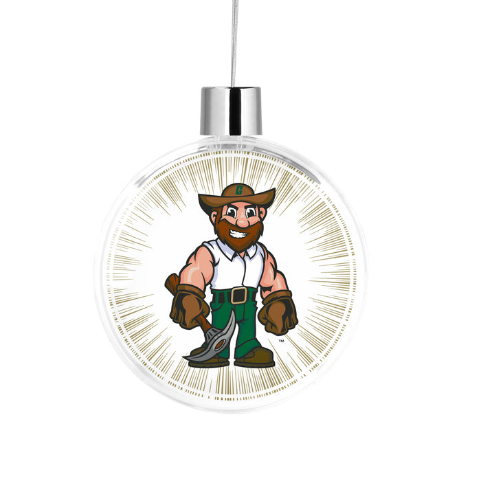 University of North Carolina at Charlotte Christmas Ornament Flat Round