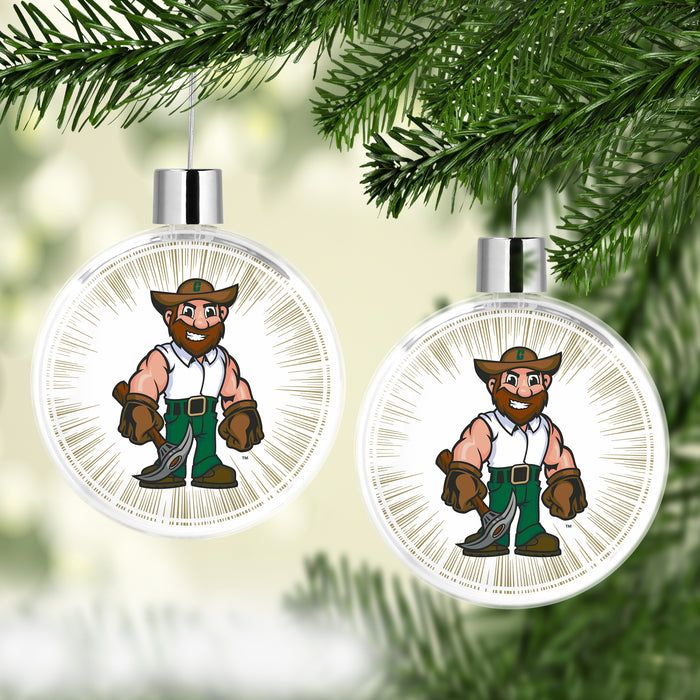 University of North Carolina at Charlotte Christmas Ornament Flat Round