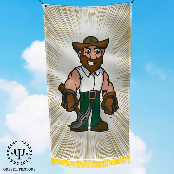 University of North Carolina at Charlotte Flags and Banners