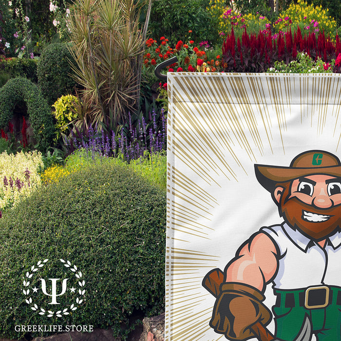 University of North Carolina at Charlotte Garden Flags