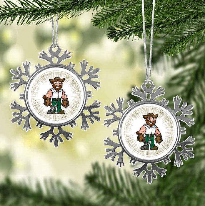 University of North Carolina at Charlotte Christmas Ornament - Snowflake Metal
