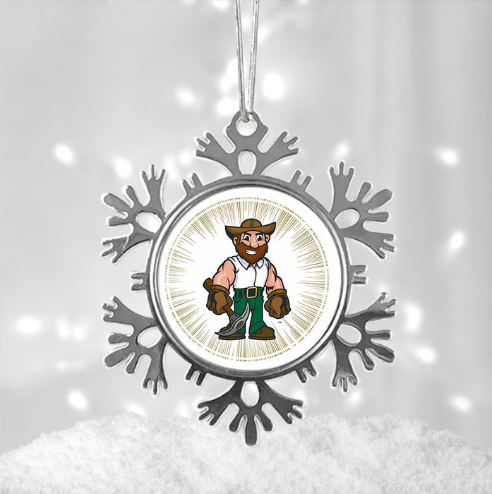 University of North Carolina at Charlotte Christmas Ornament - Snowflake Metal