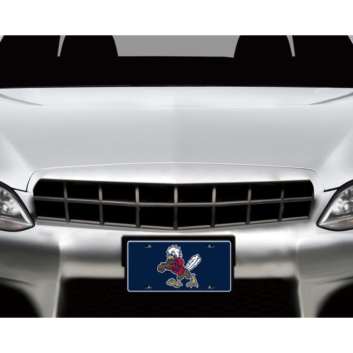 Liberty University Decorative License Plate