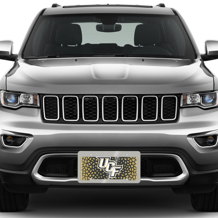 University of Central Florida Decorative License Plate