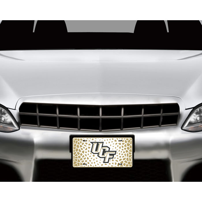 University of Central Florida Decorative License Plate