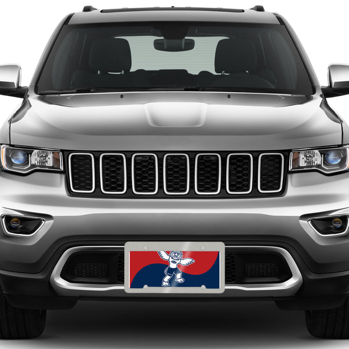 Florida Atlantic University Decorative License Plate