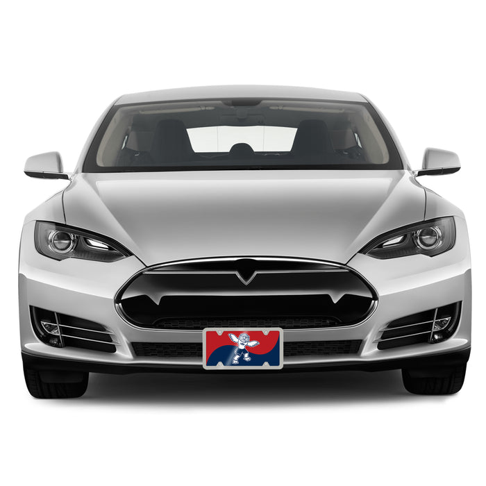 Florida Atlantic University Decorative License Plate