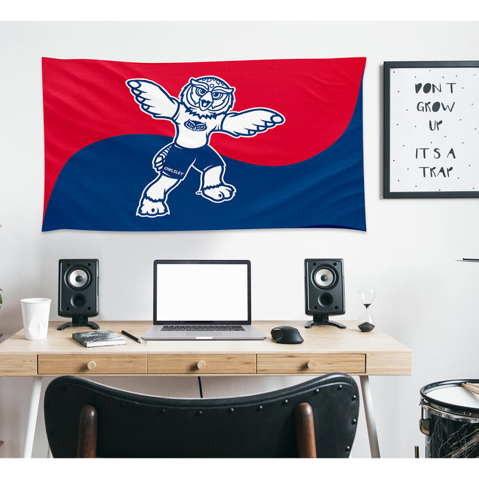 Florida Atlantic University Flags and Banners
