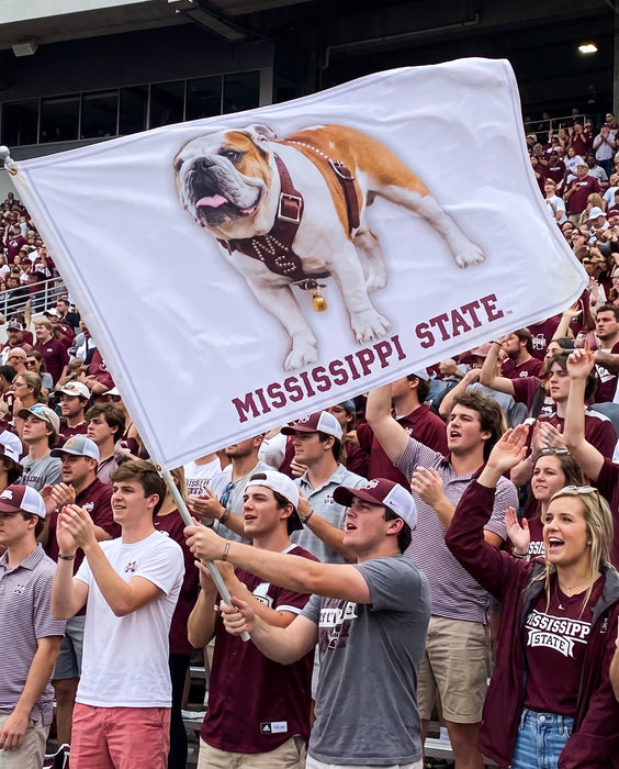 Live Mascot - Dak - Bully XXII - Bulldog - Mississippi State University Flags and Banners — lifestyle scene