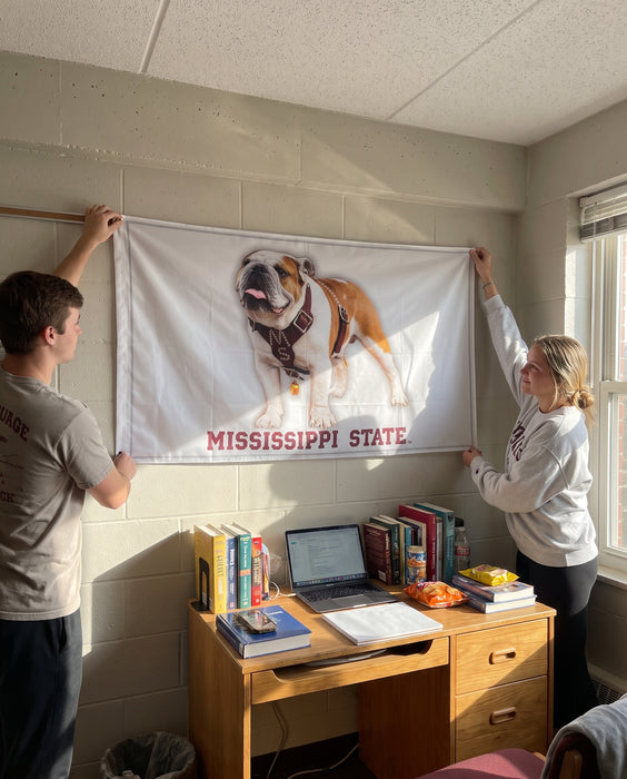 Live Mascot - Dak - Bully XXII - Bulldog - Mississippi State University Flags and Banners — lifestyle scene
