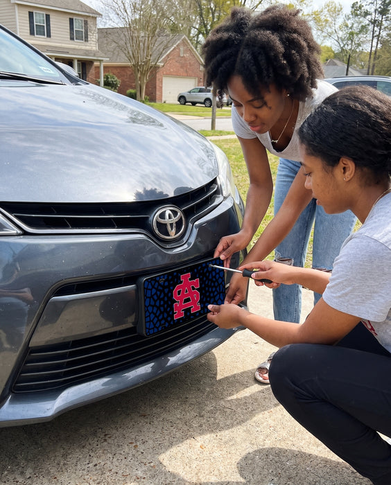 University of South Alabama Decorative License Plate — lifestyle scene