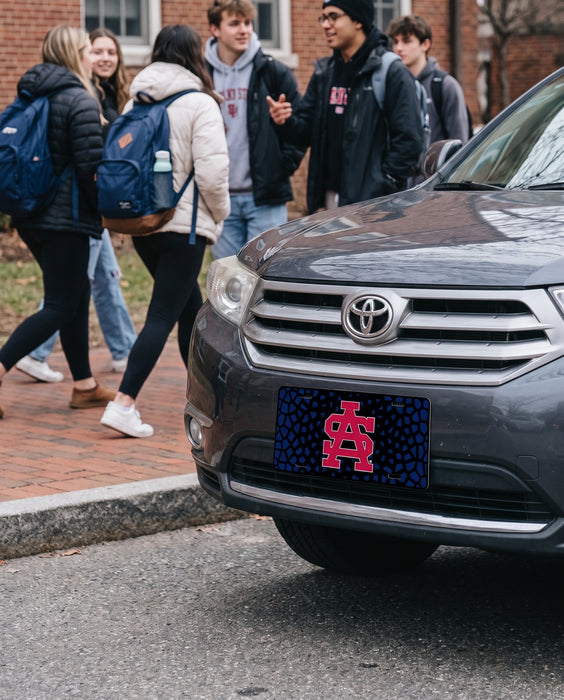 University of South Alabama Decorative License Plate — lifestyle scene