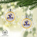 Delta Sigma Pi Christmas Ornament - Snowflake - greeklife.store