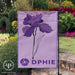 Delta Phi Epsilon Garden Flags - greeklife.store