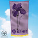 Delta Phi Epsilon Flags and Banners - greeklife.store