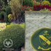 Alpha Gamma Rho Garden Flags - greeklife.store