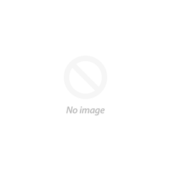 Alpha Xi Delta Keychain Rectangular